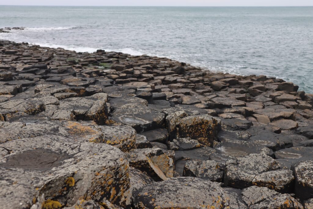 Cocodrilos Gigantes