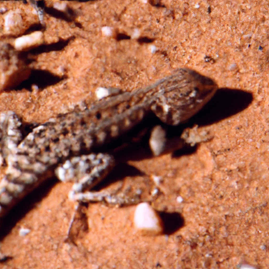 Desierto Hábitat Reptiles