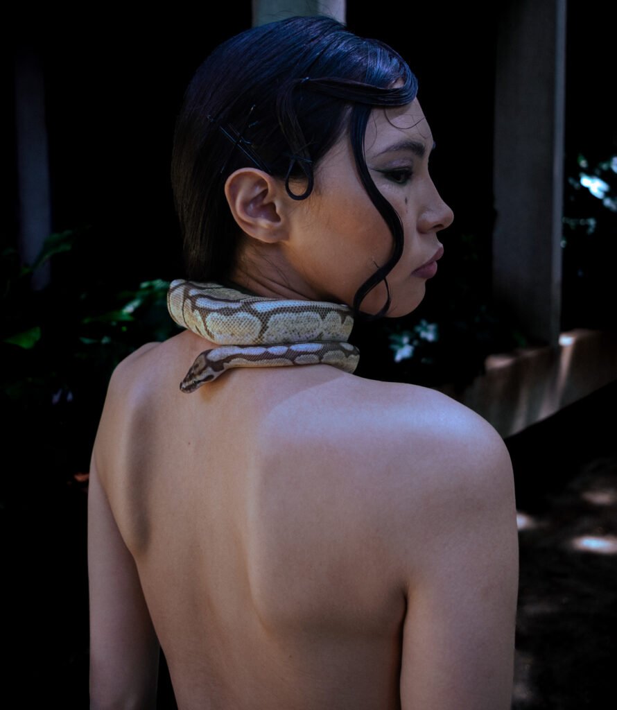 Serpiente De Maíz	Colores